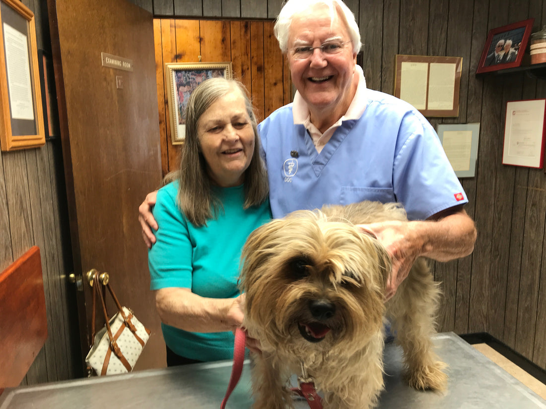 Health by nutrition and wellness #1: Dog's best friend