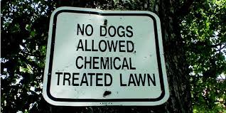 NO DOGS ALLOWED, CHEMICAL TREATED LAWN