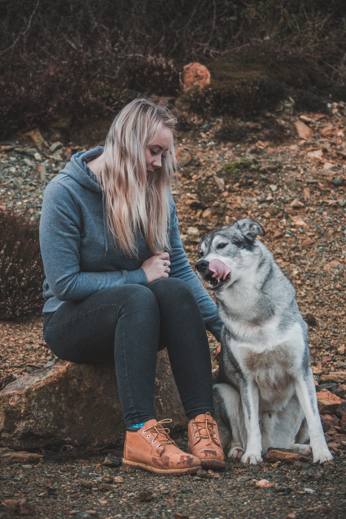 Health by nutrition and wellness #2: Canine Dilated cardiomyopathy