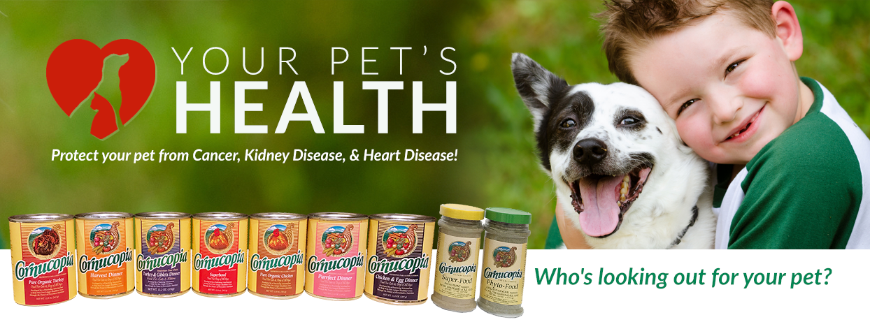 Your Pets Health
